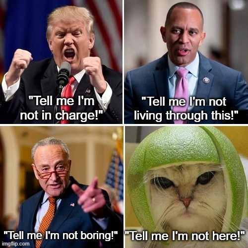 Trump Democrats Tell Me I'm Not | " | image tagged in donald trump,hakeem jeffries,chuck schumer,cat with lime helmet,trump sucks,establishment democrats suck | made w/ Imgflip meme maker