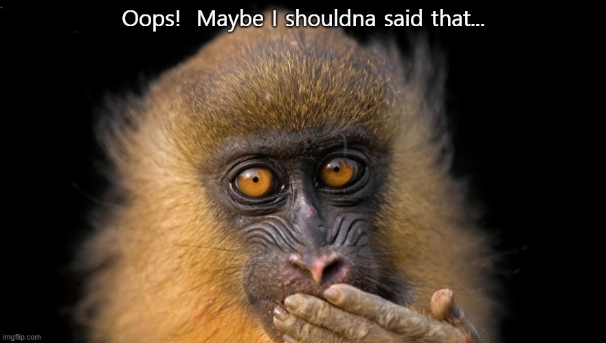 Foot in mouth | Oops!  Maybe I shouldna said that... | image tagged in animals | made w/ Imgflip meme maker
