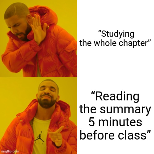 True | “Studying the whole chapter”; “Reading the summary 5 minutes before class” | image tagged in memes,drake hotline bling | made w/ Imgflip meme maker