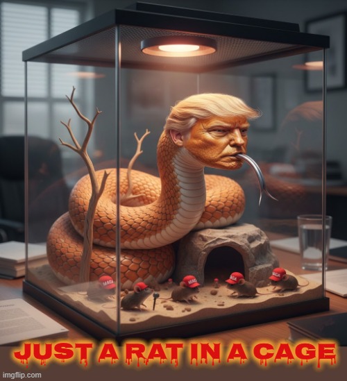 JUST A RAT IN A CAGE | JUST A RAT IN A CAGE | image tagged in rat in a cage,snake,trump,maga,sexual predator,victim | made w/ Imgflip meme maker