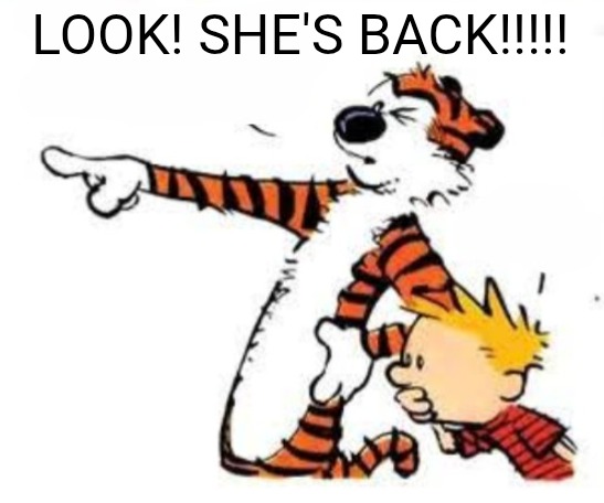LOOK! SHE'S BACK!!!!! | image tagged in whoa | made w/ Imgflip meme maker