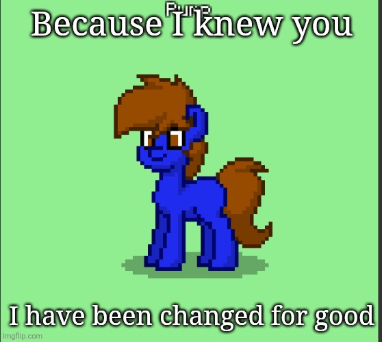 Pony Pump except in Pony Town | Because I knew you; I have been changed for good | image tagged in pony pump except in pony town | made w/ Imgflip meme maker