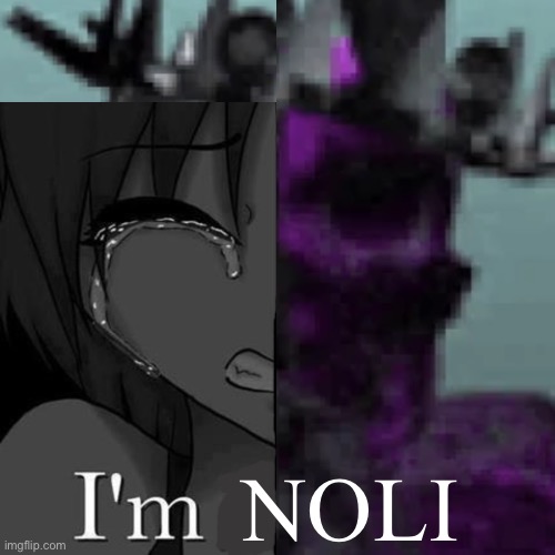 I'm fi | NOLI | image tagged in i'm fi | made w/ Imgflip meme maker
