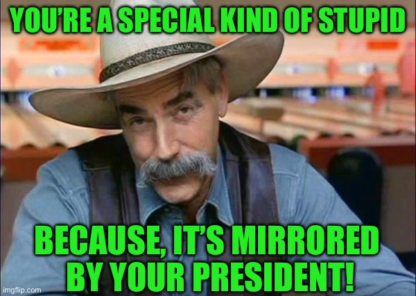 Sam Elliott special kind of stupid | YOU’RE A SPECIAL KIND OF STUPID; BECAUSE, IT’S MIRRORED  BY YOUR PRESIDENT! | image tagged in sam elliott special kind of stupid | made w/ Imgflip meme maker