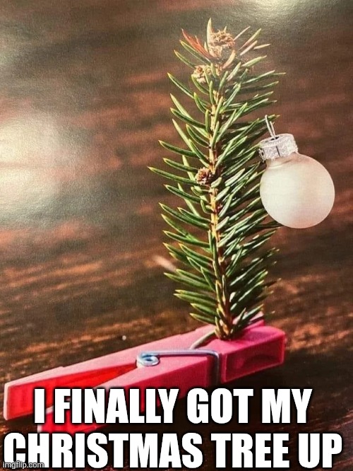 I Finally Got My Christmas Tree Up | I FINALLY GOT MY 
CHRISTMAS TREE UP | image tagged in chrisjoines1 | made w/ Imgflip meme maker