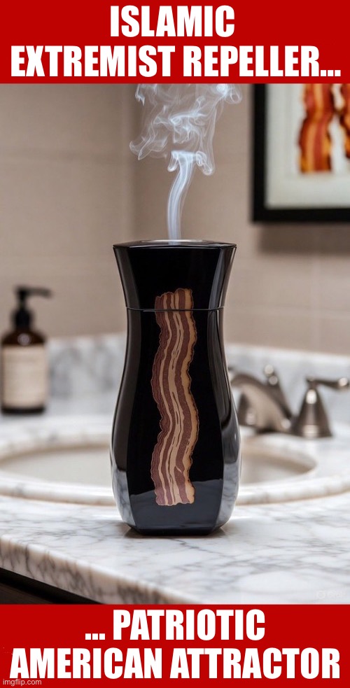 It works both ways… | ISLAMIC 
EXTREMIST REPELLER…; … PATRIOTIC 
AMERICAN ATTRACTOR | image tagged in political meme,islamic extremist,repeller,patriotic american,attractor,works both ways | made w/ Imgflip meme maker