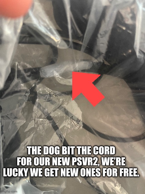 Oh my | THE DOG BIT THE CORD FOR OUR NEW PSVR2, WE’RE LUCKY WE GET NEW ONES FOR FREE. | image tagged in technology,playstation,vr | made w/ Imgflip meme maker