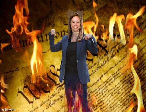 Anti-Constitutional MN Judge Sarah West Blank Meme Template