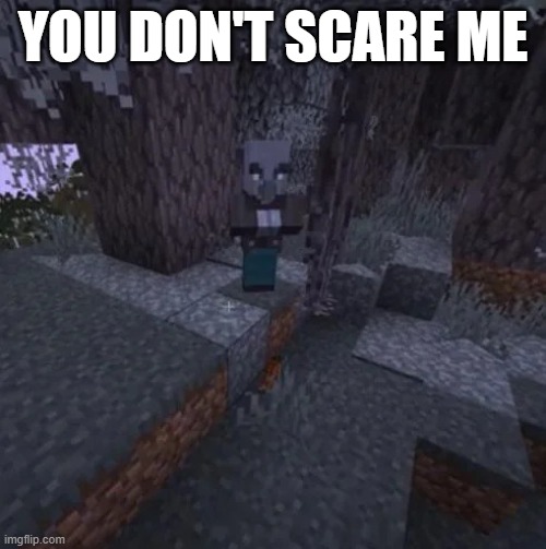 Vindicator Running Away From Creaking | YOU DON'T SCARE ME | image tagged in vindicator running away from creaking | made w/ Imgflip meme maker