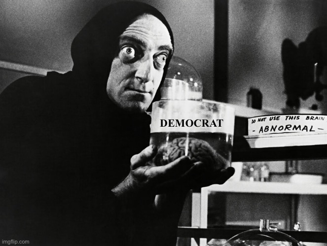 Democrat | DEMOCRAT | image tagged in democrat | made w/ Imgflip meme maker