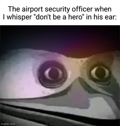 don't be a hero | The airport security officer when I whisper "don't be a hero" in his ear: | image tagged in airport,security,hero,dark humour | made w/ Imgflip meme maker