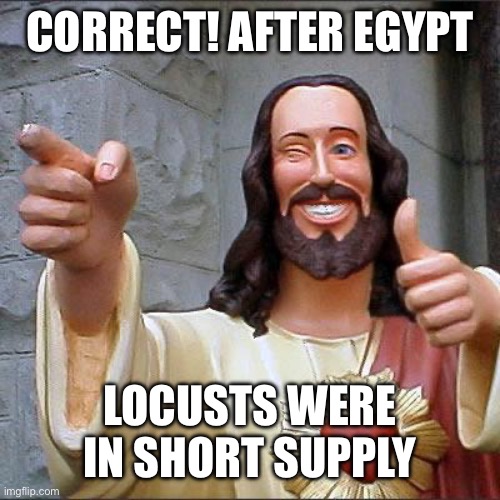 Buddy Christ Meme | CORRECT! AFTER EGYPT LOCUSTS WERE IN SHORT SUPPLY | image tagged in memes,buddy christ | made w/ Imgflip meme maker