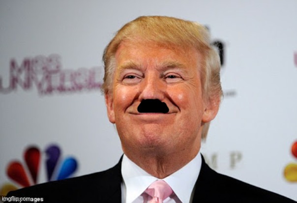 Donald trump approves | image tagged in donald trump approves | made w/ Imgflip meme maker