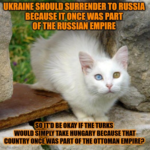 This #lolcat wonders if every country should be given back to those who once ruled it | UKRAINE SHOULD SURRENDER TO RUSSIA 
BECAUSE IT ONCE WAS PART 
OF THE RUSSIAN EMPIRE; SO IT'D BE OKAY IF THE TURKS 
WOULD SIMPLY TAKE HUNGARY BECAUSE THAT COUNTRY ONCE WAS PART OF THE OTTOMAN EMPIRE? | image tagged in war,history,geography,lolcat,border | made w/ Imgflip meme maker