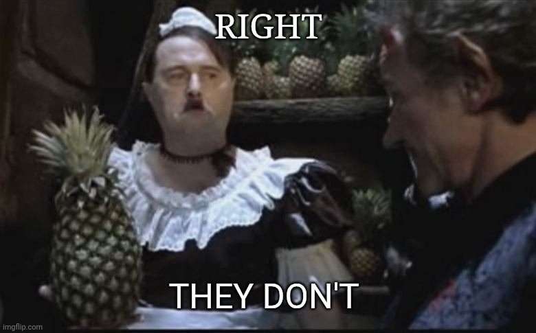 Hitler Pineapple | RIGHT THEY DON'T | image tagged in hitler pineapple | made w/ Imgflip meme maker