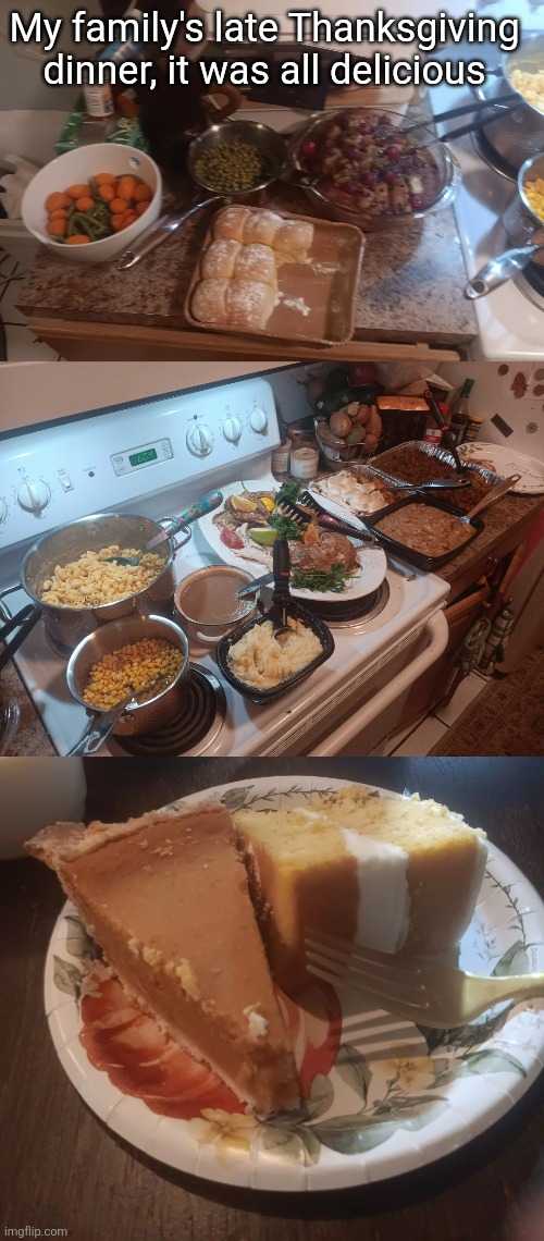 My aunt made all of this, she's a great cook and it was all delicious | My family's late Thanksgiving dinner, it was all delicious | made w/ Imgflip meme maker