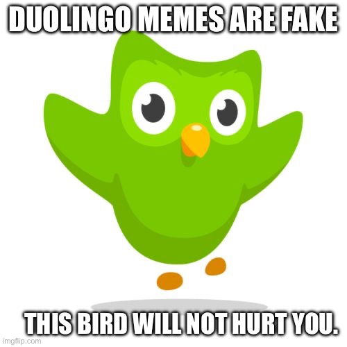 things duolingo teaches you | DUOLINGO MEMES ARE FAKE; THIS BIRD WILL NOT HURT YOU. | image tagged in things duolingo teaches you | made w/ Imgflip meme maker