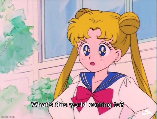 image tagged in sailor moon what s this world coming to | made w/ Imgflip meme maker