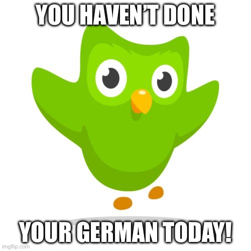 Don’t forget your German lesson, | YOU HAVEN’T DONE; YOUR GERMAN TODAY! | image tagged in things duolingo teaches you | made w/ Imgflip meme maker