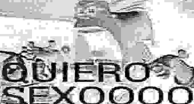 QUIERO SEXOOOO | image tagged in quiero sexoooo | made w/ Imgflip meme maker