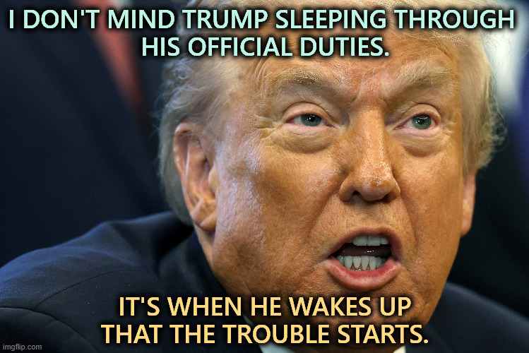I DON'T MIND TRUMP SLEEPING THROUGH 
HIS OFFICIAL DUTIES. IT'S WHEN HE WAKES UP THAT THE TROUBLE STARTS. | image tagged in trump,old,tired,sleepy,senile | made w/ Imgflip meme maker
