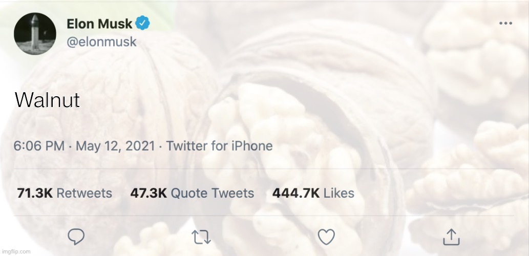 Yes. | Walnut | made w/ Imgflip meme maker