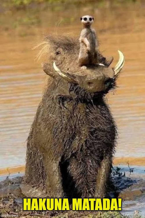 HAKUNA MATADA! | made w/ Imgflip meme maker