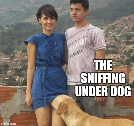 Dog sniffing Crotch | THE SNIFFING UNDER DOG | image tagged in dog sniffing crotch | made w/ Imgflip meme maker