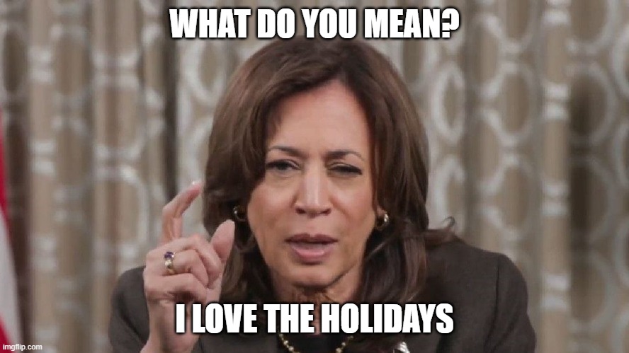 Drunk Kamala Wisdom | WHAT DO YOU MEAN? I LOVE THE HOLIDAYS | image tagged in drunk kamala wisdom | made w/ Imgflip meme maker