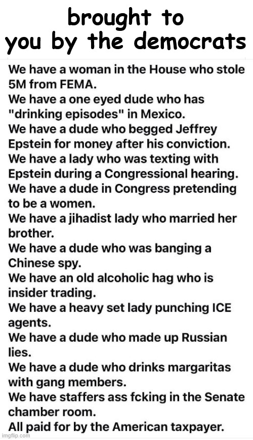 Brought to you by the democrats | brought to you by the democrats | image tagged in democrats brought it,taxpayers funded it | made w/ Imgflip meme maker