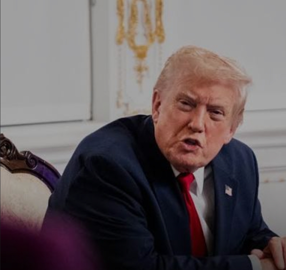 Are you stupid? Blank Meme Template