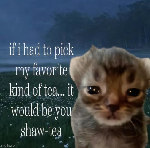 SHAW❗❗❗ | made w/ Imgflip meme maker