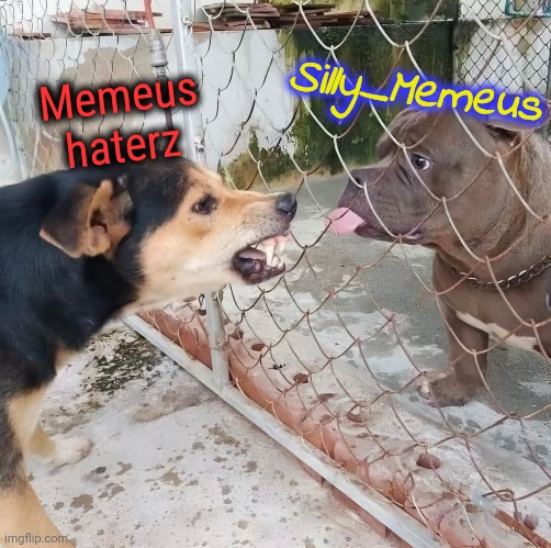 Yes, you're wrong. Yes, I'm right. (And you're stupid!) | Silly_Memeus; Memeus haterz | image tagged in memeus,dogz,silliness | made w/ Imgflip meme maker