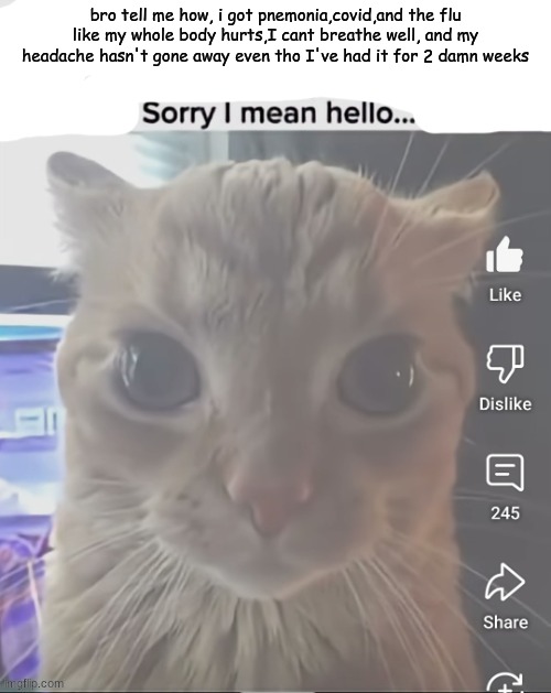 ____..sorry..I mean hello | bro tell me how, i got pnemonia,covid,and the flu like my whole body hurts,I cant breathe well, and my headache hasn't gone away even tho I've had it for 2 damn weeks | image tagged in ____ sorry i mean hello | made w/ Imgflip meme maker