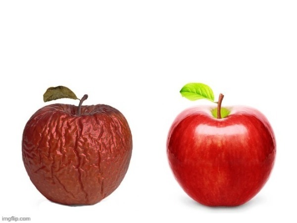 image tagged in comparison apples | made w/ Imgflip meme maker