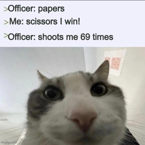 Me when the police stops me | Officer: papers; Me: scissors I win! Officer: shoots me 69 times | image tagged in cat looks inside | made w/ Imgflip meme maker