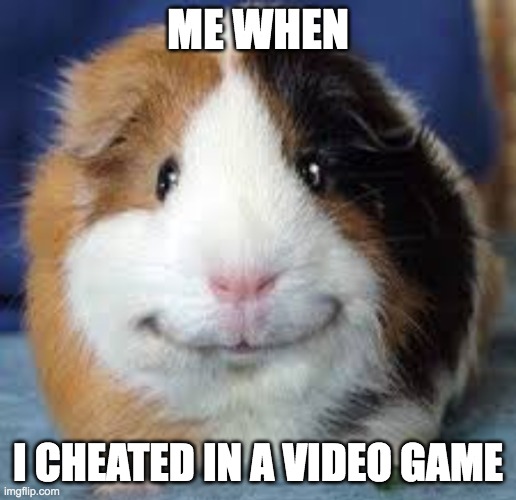 me when i do stuf | ME WHEN; I CHEATED IN A VIDEO GAME | image tagged in malicious guinea pig smile,video games,cheaters | made w/ Imgflip meme maker
