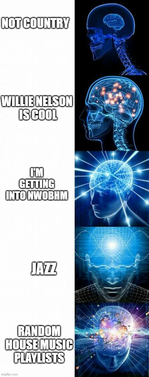 silly music meme | NOT COUNTRY; WILLIE NELSON
 IS COOL; I'M GETTING INTO NWOBHM; JAZZ; RANDOM HOUSE MUSIC PLAYLISTS | image tagged in enlightened | made w/ Imgflip meme maker