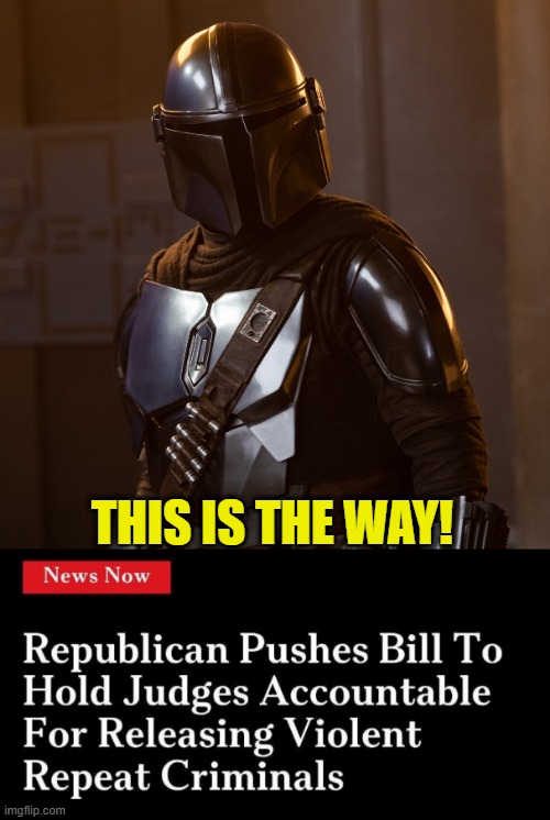 This is the way | THIS IS THE WAY! | image tagged in star wars,the mandalorian,mandalorian,crime,judge,conservative | made w/ Imgflip meme maker