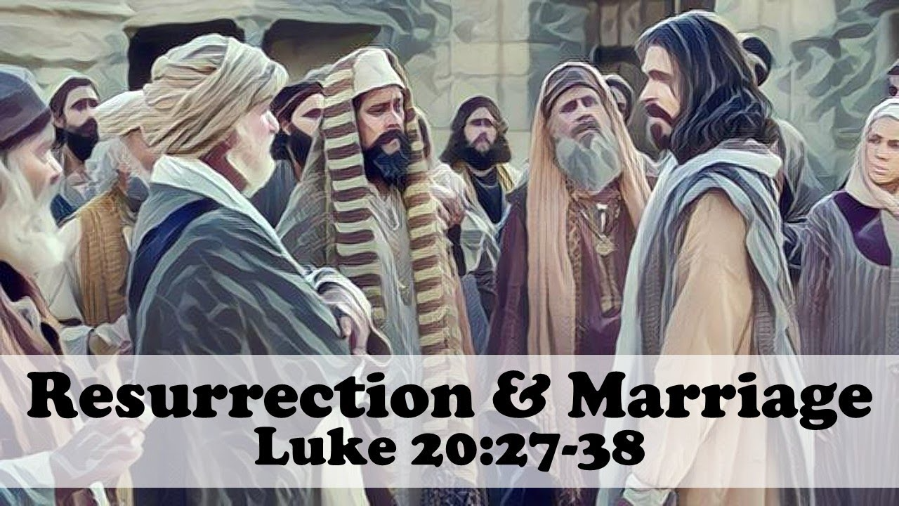 December 20  - Luke 20 Blank Meme Template