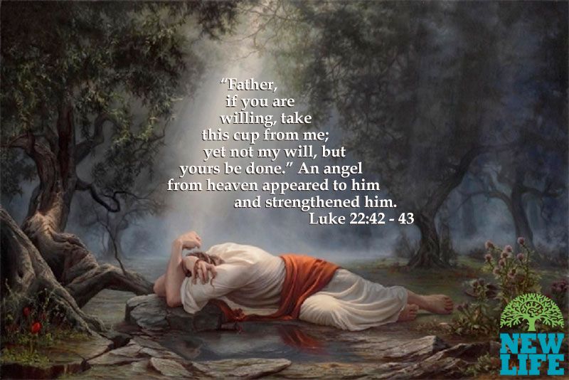 December 22  - Luke 22 Blank Meme Template