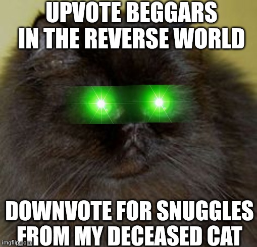 Take example from that Bill meme. (And you will always be in my heart phe phe) | UPVOTE BEGGARS IN THE REVERSE WORLD; DOWNVOTE FOR SNUGGLES FROM MY DECEASED CAT | image tagged in sarcastic black cat | made w/ Imgflip meme maker