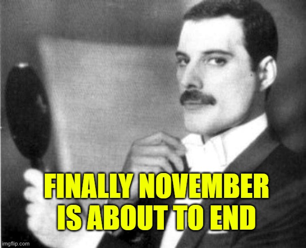 Elegant Freddie Mercury | FINALLY NOVEMBER IS ABOUT TO END | image tagged in elegant freddie mercury | made w/ Imgflip meme maker