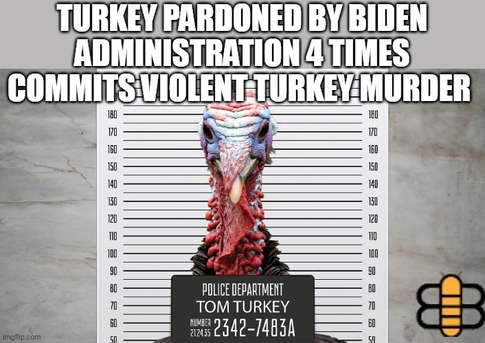 TURKEY PARDONED BY BIDEN ADMINISTRATION 4 TIMES COMMITS VIOLENT TURKEY MURDER | made w/ Imgflip meme maker