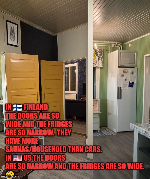 Finnish lots of saunas &  small fridge culture | IN 🇫🇮 FINLAND THE DOORS ARE SO WIDE AND THE FRIDGES ARE SO NARROW.  THEY HAVE MORE SAUNAS/HOUSEHOLD THAN CARS.
IN 🇺🇸 US THE DOORS ARE SO NARROW AND THE FRIDGES ARE SO WIDE. 
🤔 | image tagged in finland,usa,doors,refrigerator,home,lifestyle | made w/ Imgflip meme maker