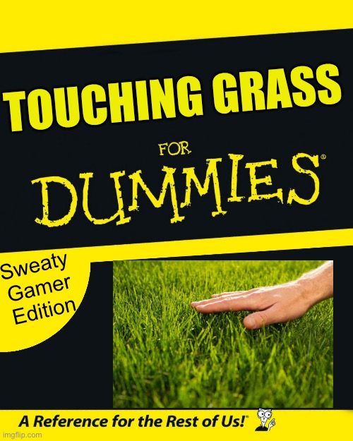 For Dummies | TOUCHING GRASS; Sweaty Gamer Edition | image tagged in for dummies,gamer,memes,gaming,touch grass | made w/ Imgflip meme maker