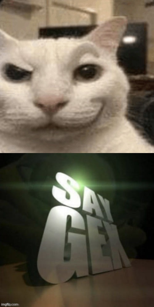 image tagged in smirking cat,say gex | made w/ Imgflip meme maker