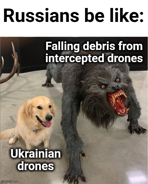 As their oil refineries, petroleum terminals, thermal plants, and electrical facilities burn | Russians be like:; Falling debris from
intercepted drones; Ukrainian
drones | image tagged in dog vs werewolf,russia,ukraine,war,drones,debris | made w/ Imgflip meme maker