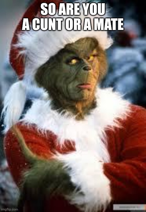 Grinch | SO ARE YOU A CUNT OR A MATE | image tagged in grinch | made w/ Imgflip meme maker