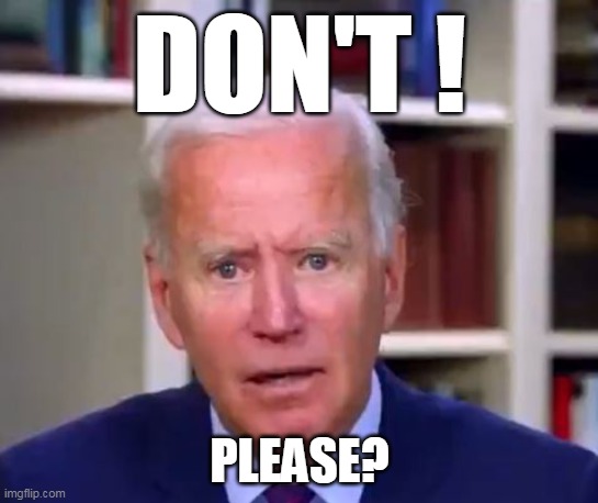 DON'T ! PLEASE? | made w/ Imgflip meme maker